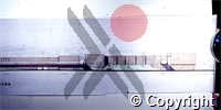 59\d4672e-8c60-4dc7-8ed4-323ca3c7cfb3.tif