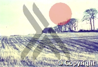b4\375a17-9435-4cc9-8c70-39e1531bda23.tif