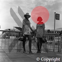 cf\f03292-7d7d-44ee-a387-2d391be7547d.jpg